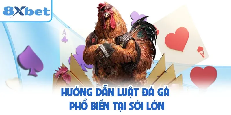 Hướng dẫn luật đá gà phổ biến tại sới lớn