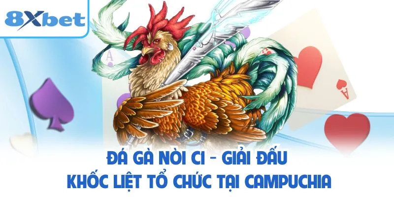 Đá Gà Nòi C1 - Giải Đấu Khốc Liệt Tổ Chức Tại Campuchia